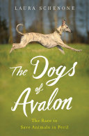 The_dogs_of_Avalon